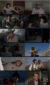 Posse from Hell (1961)