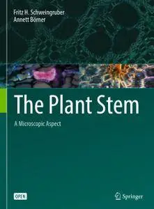 The Plant Stem: A Microscopic Aspect