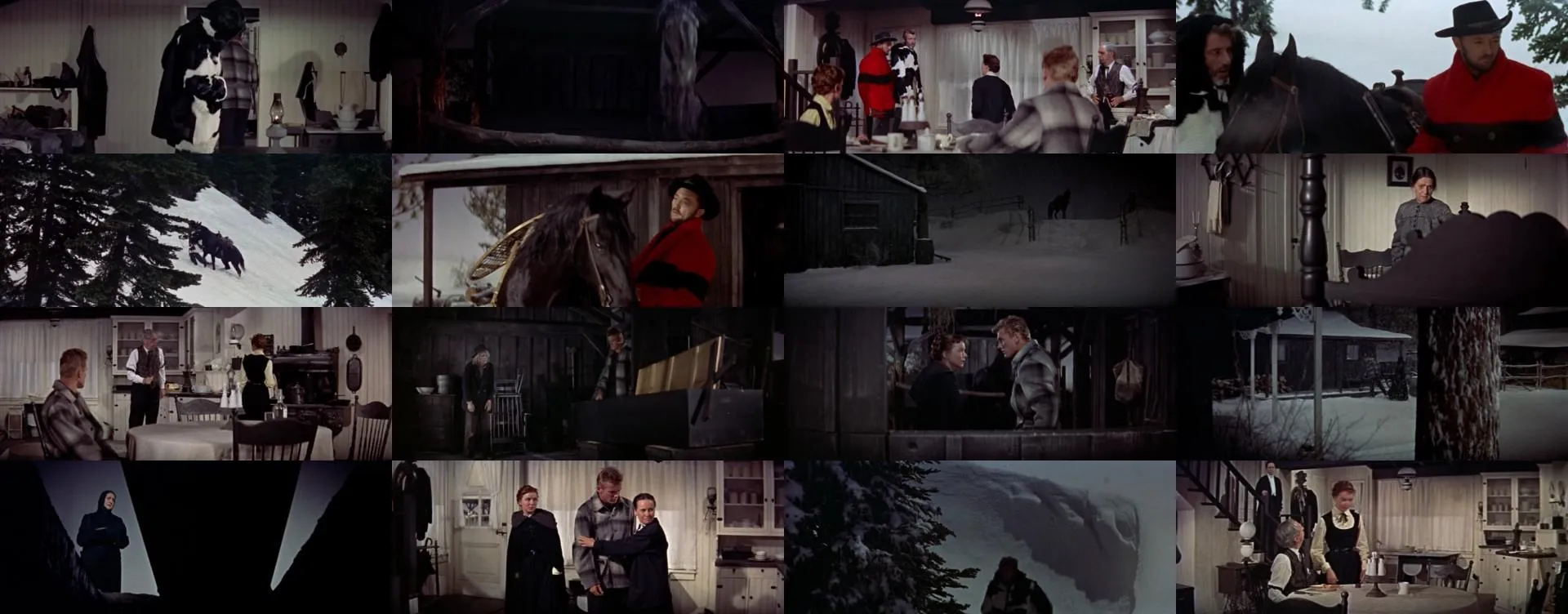 Track of the Cat (1954)