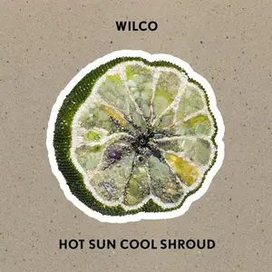 Wilco - Hot Sun Cool Shroud (2024)