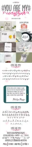 You Are My Everythink - Font Duo Display & Script