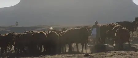The Harvesters (2018)