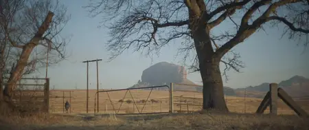 The Harvesters (2018)
