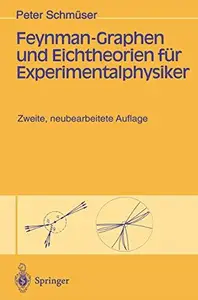 Feynman-Graphen und Eichtheorien für Experimentalphysiker