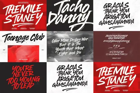 Themile Stuney - Striking Hand Drawn Brush Font
