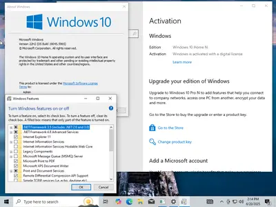 Windows 10 22H2 build 19045.5965 AIO 16in1 Preactivated (x64) Multilingual June 2025