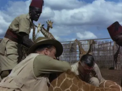 Mogambo (1953)