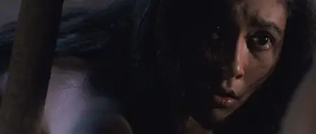 Jungle Holocaust (1977) [Dual Audio] + Commentary