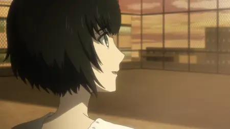 Steins;Gate 0 (2018 S01E22 Rinascimento of the Projection Project Amadeus Arid