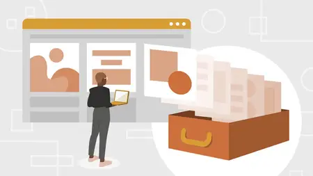Webflow Collections and CMS