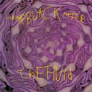 The Fluid - Clear Black Paper (Full Session Edition) (2024 Remix/Remaster) (1988/2024) [Official Digital Download 24/96]