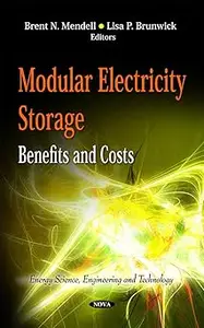 Modular Electricity Storage: Benefits and Costs