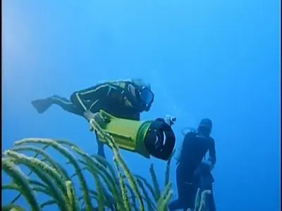 A&E - The Undersea World of Jacques Cousteau - Collection Two (1991)