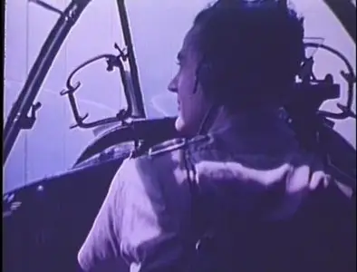 SBS - Whispering Death: Beaufighter - Forgotten Warhorse (1997)