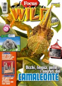 Focus Wild - Giugno 2015