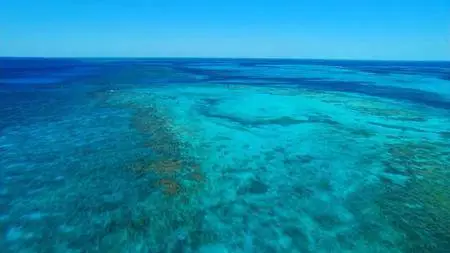 BBC - Billionaire's Paradise: Inside Necker Island (2015)