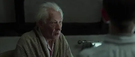 Mr. Holmes - Il Mistero Del Caso Irrisolto (2015)