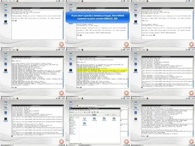 Pluralsight - Oracle Database 12c Disaster Recovery and Data Movement [Repost]