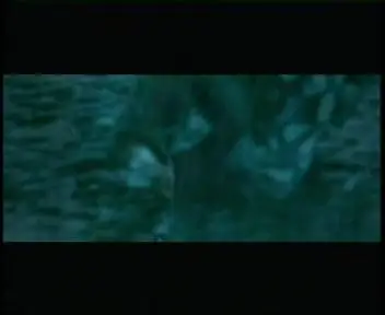 Coma - Pierwsze wyjście z mroku (2004)