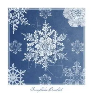 Snowflake brushes for Photoshop