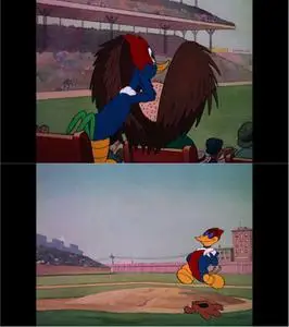 The Woody Woodpecker Screwball Collection (1940-1961)