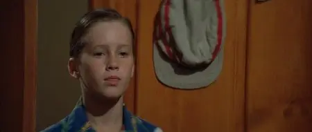 The Sandlot (1993)
