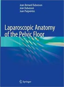 Laparoscopic Anatomy of the Pelvic Floor
