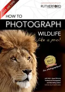 How to Photograph Wildlife Like a Pro