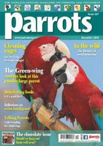 Parrots - December 2016
