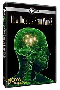 Nova ScienceNow S05E03 How Does the Brain Work? (2011)