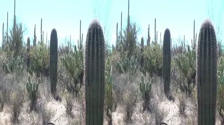 America's Southwest 3D (2012)