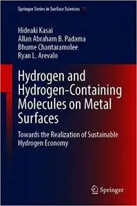 Hydrogen and Hydrogen-Containing Molecules on Metal Surfaces: Towards the Realization of Sustainable Hydrogen Economy (S