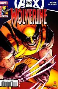 Wolverine v3 - 010