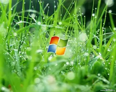 Windows wallpapers