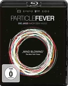 Particle Fever (2013)