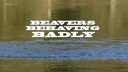 BBC Natural World - Beavers Behaving Badly (2014)