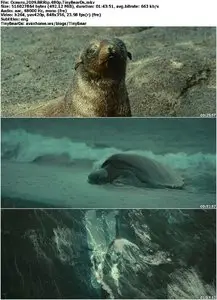 Oceans (2009)