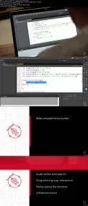 Animate CC Programming