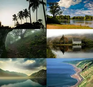 Nature Wallpaper