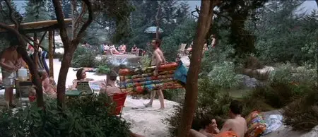 A Shot in the Dark (1964)