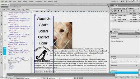 Infinite Skills - PSD To HTML With Photoshop And Dreamweaver [repost]