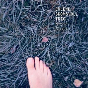 Erlend Skomsvoll Trio - Noshk Blues (2024) [Official Digital Download 24/48]