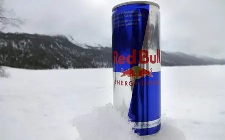 Die Story im Ersten: Die dunkle Seite von Red Bull (2013)