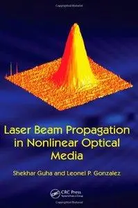 Laser Beam Propagation in Nonlinear Optical Media (repost)