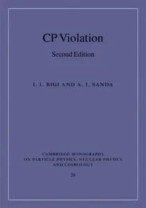 CP Violation