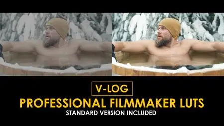 V-Log Professional Filmmaker and Standard LUTs 51434060