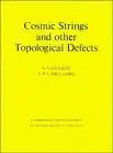 Cosmic strings and other topological defects