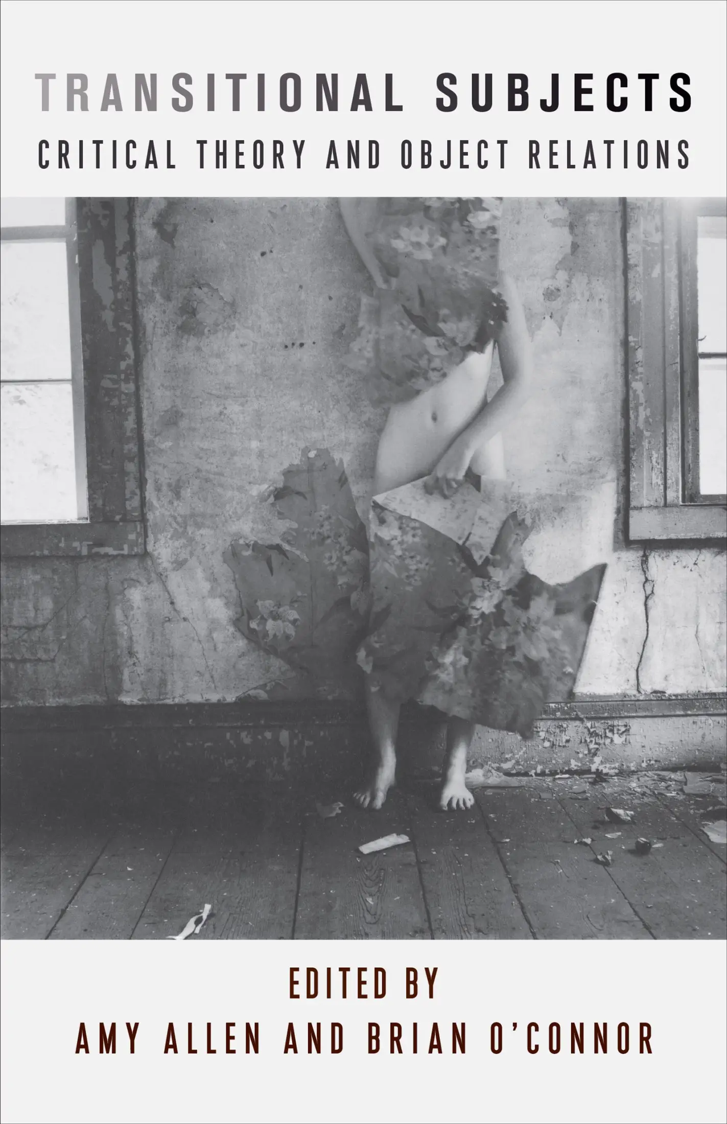 Transitional Subjects: Critical Theory and Object Relations (New Directions in Critical Theory)