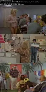 Party Plane (1991) 