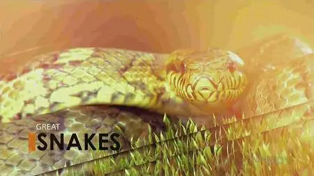 Smithsonian Channel - Great Snakes (2016)